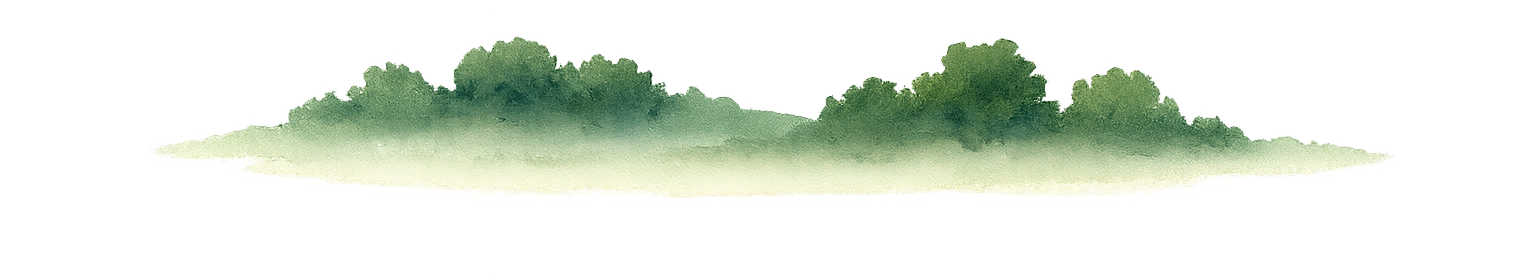 Foreground mountains